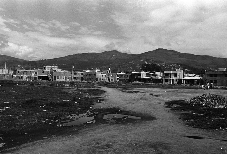 Raíces Urbanas y el Despertar de la Comunidad